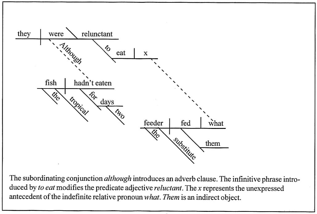 Daily Diagrams 21